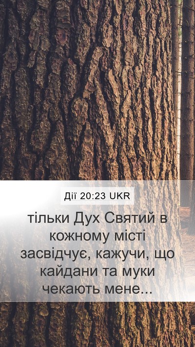Дії 20:23 UKR Bible Verse Image