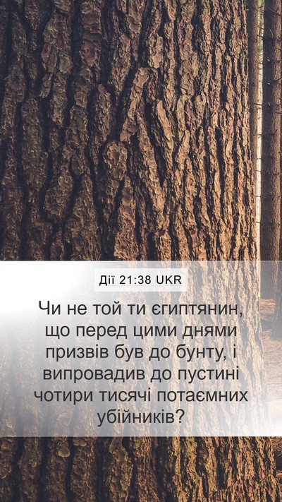 Дії 21:38 UKR Bible Verse Image