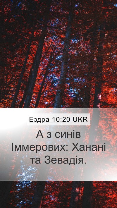 Ездра 10:20 UKR Mobile Phone Wallpaper - А з синів Іммерових: Ханані - Mobile Bible Verse Wallpaper