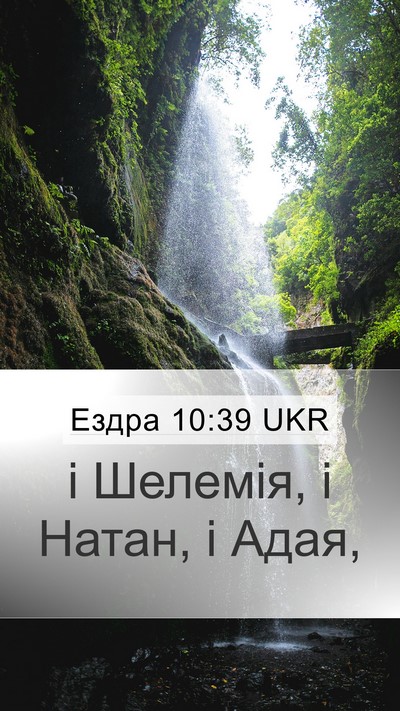 Ездра 10:39 UKR Mobile Phone Wallpaper - і Шелемія, і Натан, і - Mobile Bible Verse Wallpaper