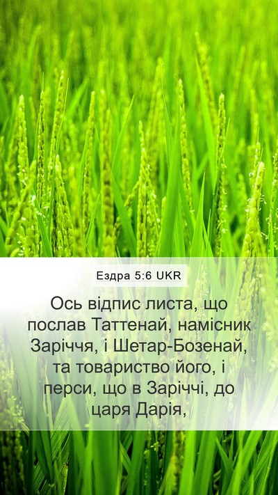 Ездра 5:6 UKR Bible Verse Image