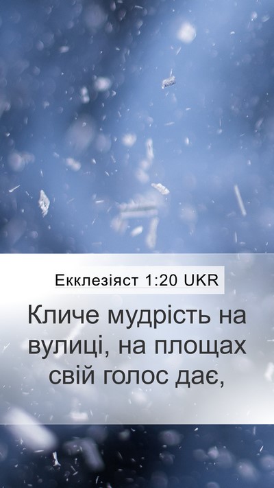 Екклезіяст 1:20 UKR Bible Verse Image
