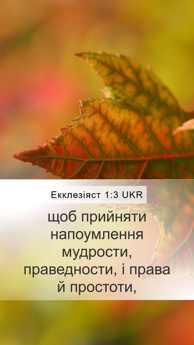 Екклезіяст 1:3 UKR Bible Verse Image