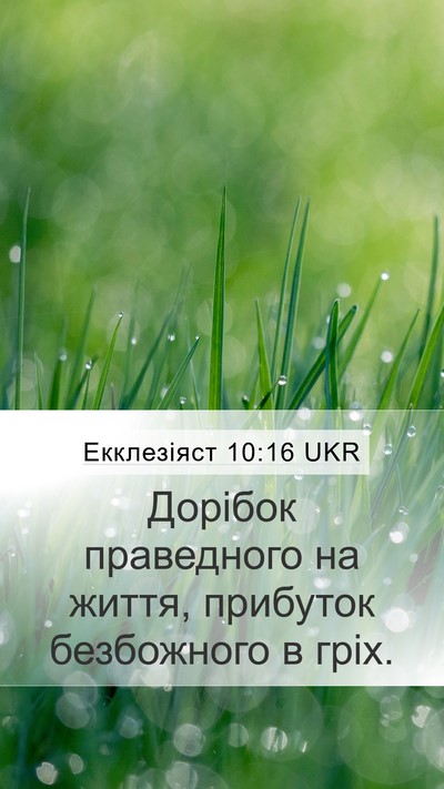 Екклезіяст 10:16 UKR Mobile Phone Wallpaper - Дорібок праведного на - Mobile Bible Verse Wallpaper