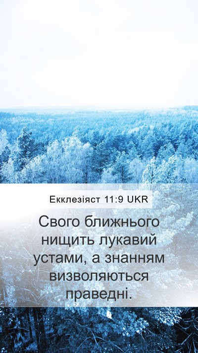 Екклезіяст 11:9 UKR Bible Verse Image