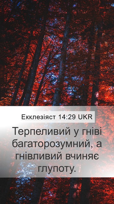 Екклезіяст 14:29 UKR Bible Verse Image
