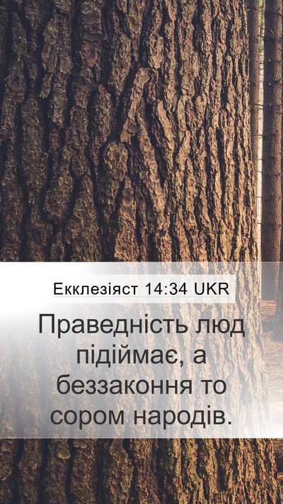Екклезіяст 14:34 UKR Bible Verse Image