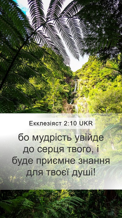 Екклезіяст 2:10 UKR Bible Verse Image