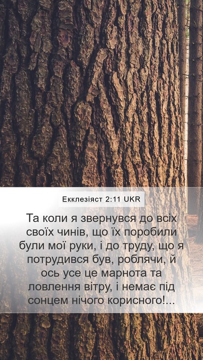 Екклезіяст 2:11 UKR Bible Verse Image
