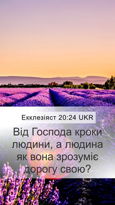 Екклезіяст 20:24 UKR Bible Verse Image