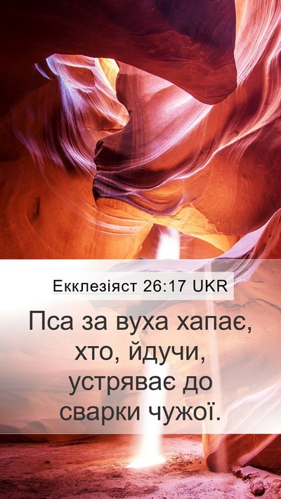 Екклезіяст 26:17 UKR Mobile Phone Wallpaper - Пса за вуха хапає, хто, - Mobile Bible Verse Wallpaper