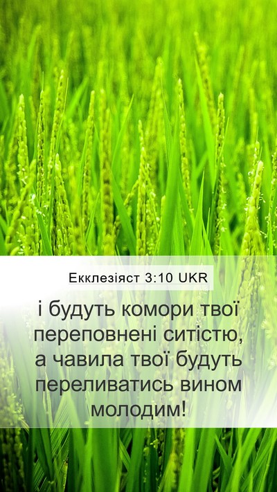Екклезіяст 3:10 UKR Bible Verse Image