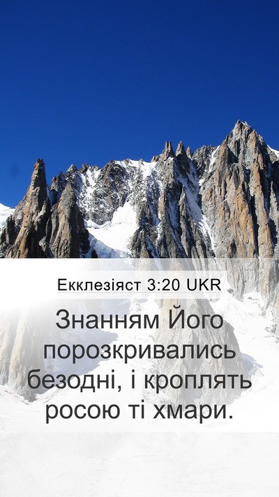 Екклезіяст 3:20 UKR Bible Verse Image