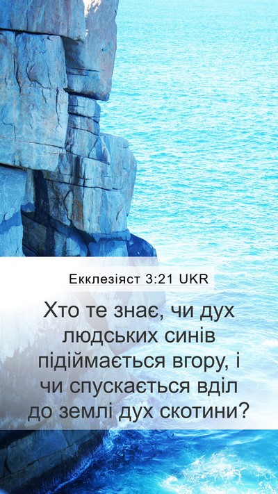 Екклезіяст 3:21 UKR Bible Verse Image