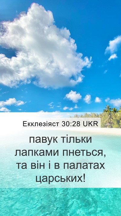 Екклезіяст 30:28 UKR Mobile Phone Wallpaper - павук тільки лапками - Mobile Bible Verse Wallpaper