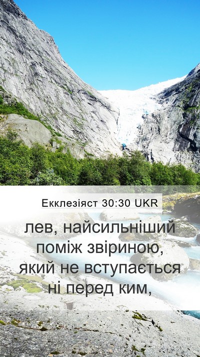 Екклезіяст 30:30 UKR Bible Verse Image