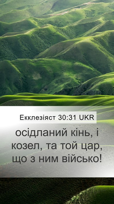 Екклезіяст 30:31 UKR Bible Verse Image
