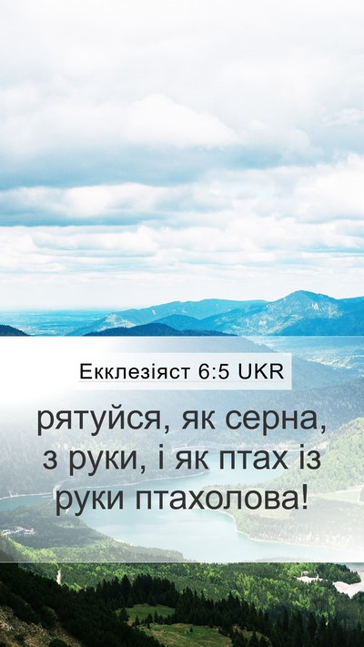 Екклезіяст 6:5 UKR Bible Verse Image