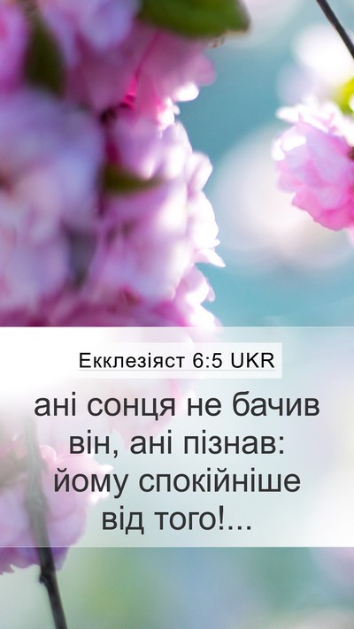 Екклезіяст 6:5 UKR Bible Verse Image