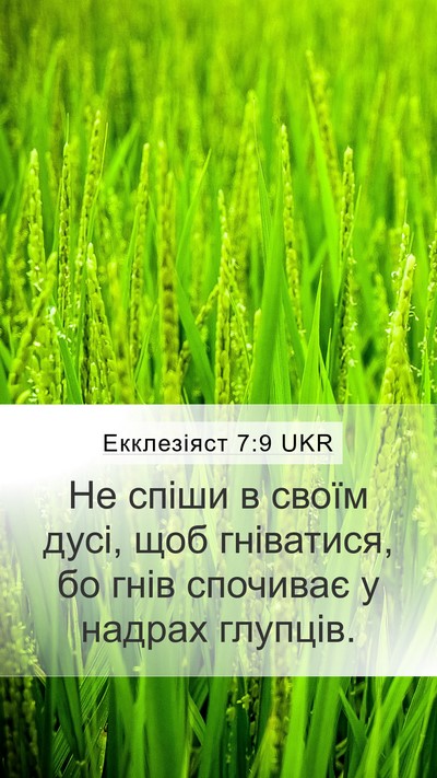 Екклезіяст 7:9 UKR Bible Verse Image
