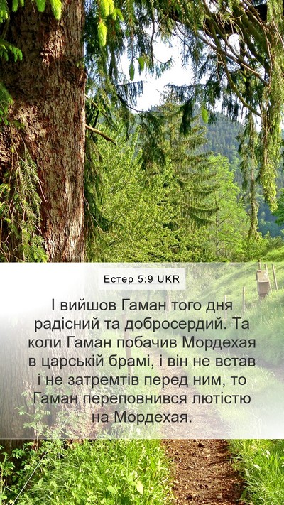 Естер 5:9 UKR Bible Verse Image