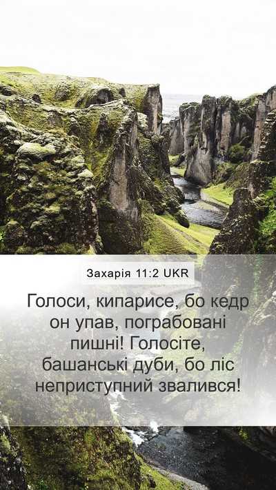 Захарія 11:2 UKR Bible Verse Image