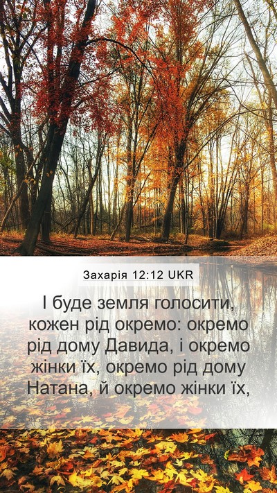Захарія 12:12 UKR Bible Verse Image