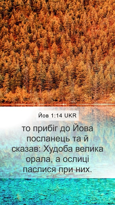 Йов 1:14 UKR Bible Verse Image