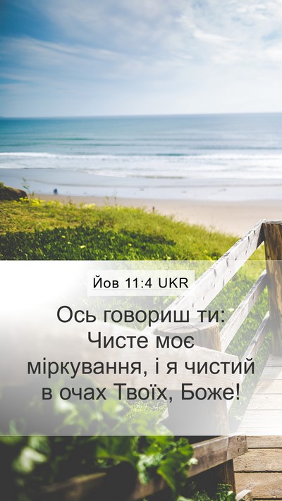 Йов 11:4 UKR Bible Verse Image