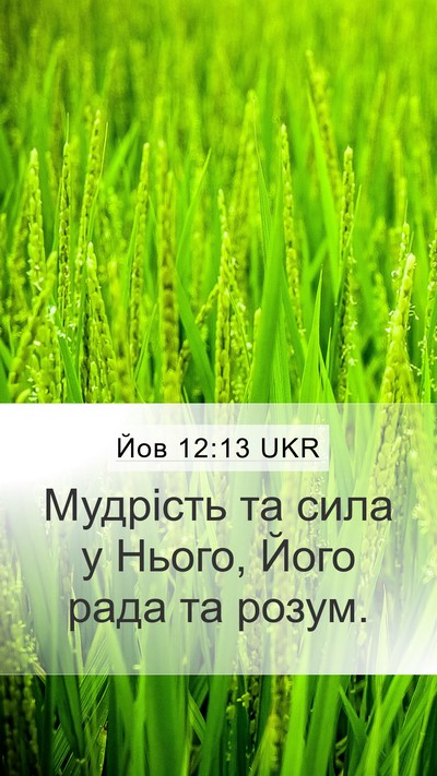 Йов 12:13 UKR Bible Verse Image