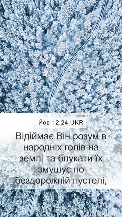 Йов 12:24 UKR Bible Verse Image