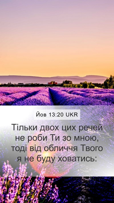 Йов 13:20 UKR Bible Verse Image