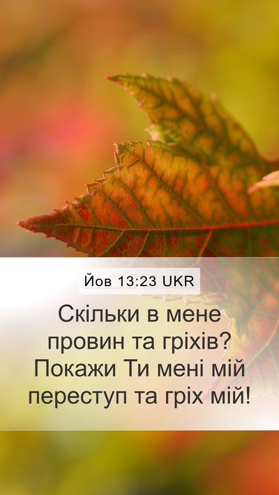Йов 13:23 UKR Bible Verse Image