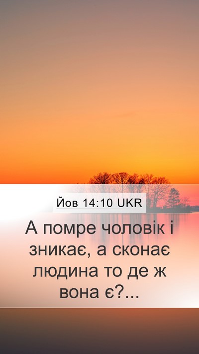 Йов 14:10 UKR Bible Verse Image