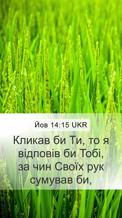 Йов 14:15 UKR Bible Verse Image