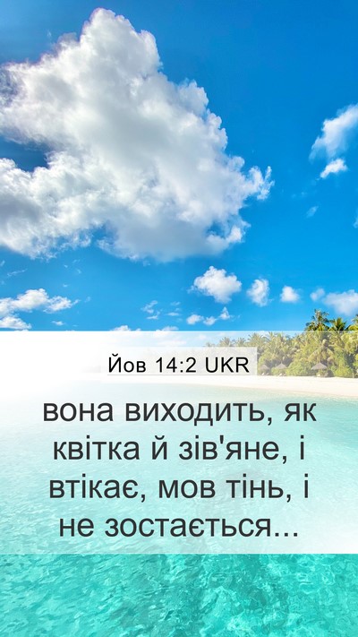Йов 14:2 UKR Bible Verse Image