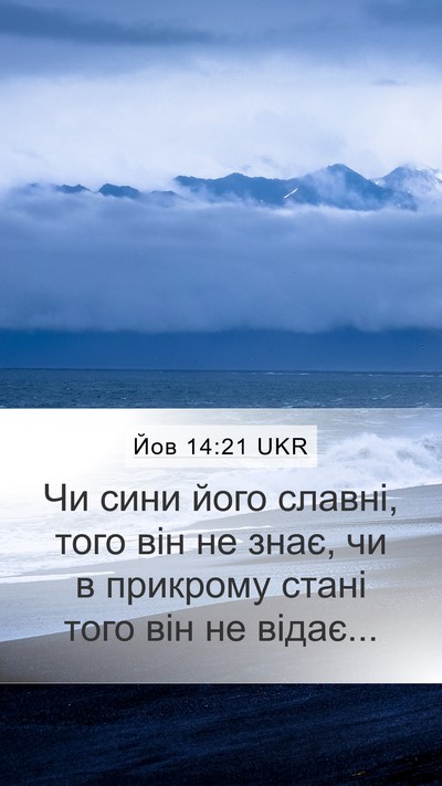 Йов 14:21 UKR Bible Verse Image