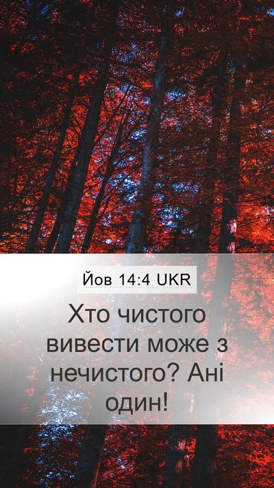 Йов 14:4 UKR Bible Verse Image