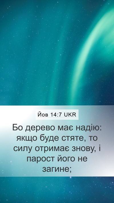 Йов 14:7 UKR Bible Verse Image
