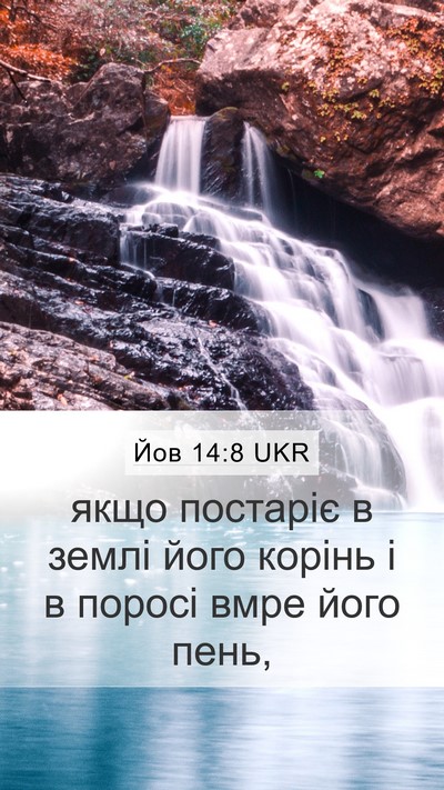 Йов 14:8 UKR Mobile Phone Wallpaper - якщо постаріє в землі його - Mobile Bible Verse Wallpaper