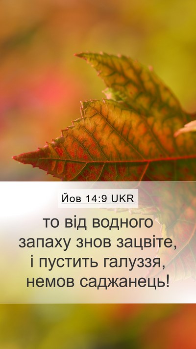 Йов 14:9 UKR Mobile Phone Wallpaper - то від водного запаху знов - Mobile Bible Verse Wallpaper