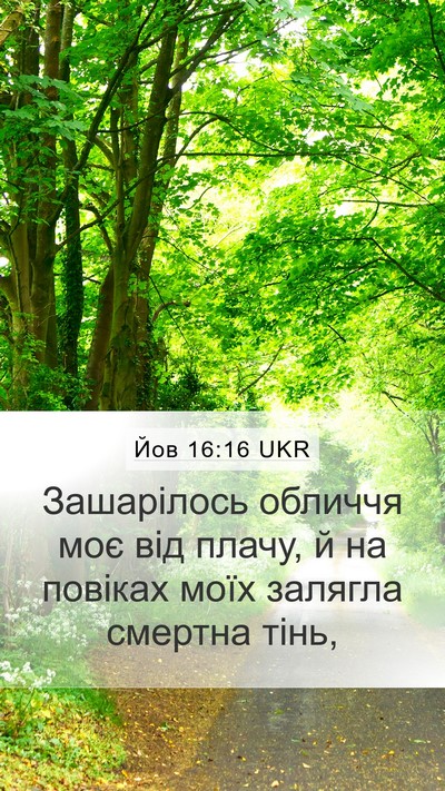 Йов 16:16 UKR Bible Verse Image