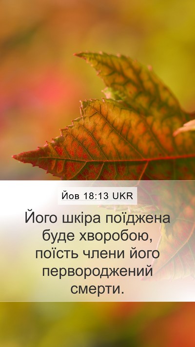 Йов 18:13 UKR Bible Verse Image