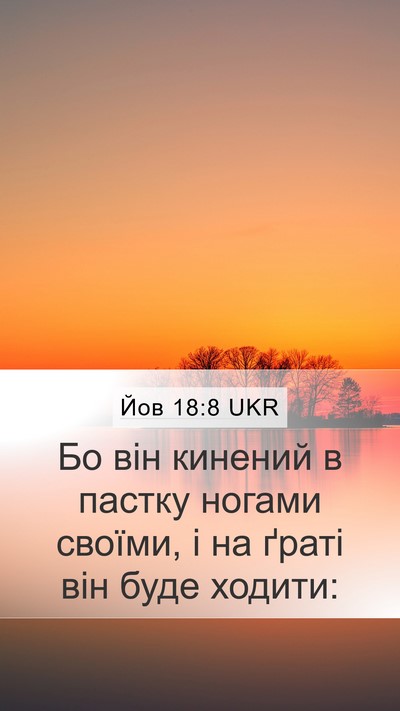 Йов 18:8 UKR Bible Verse Image