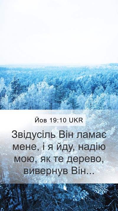 Йов 19:10 UKR Bible Verse Image