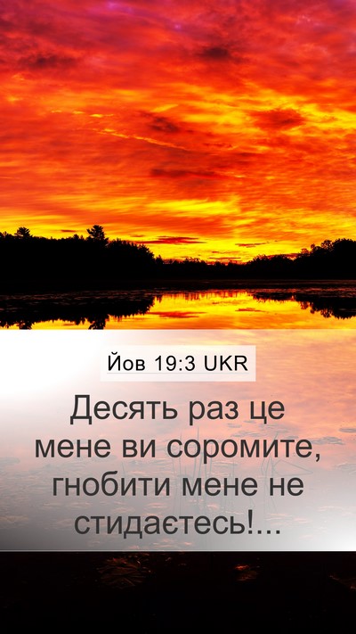 Йов 19:3 UKR Bible Verse Image