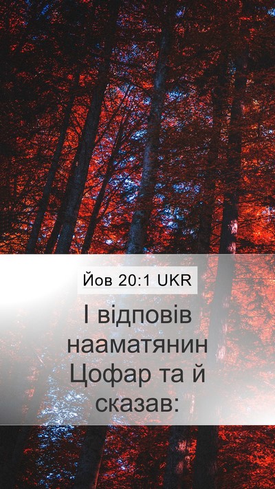 Йов 20:1 UKR Bible Verse Image