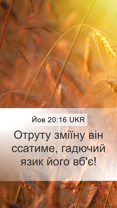 Йов 20:16 UKR Bible Verse Image