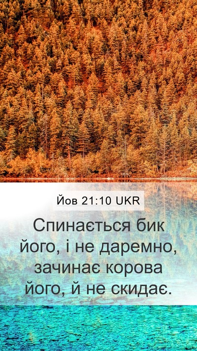 Йов 21:10 UKR Bible Verse Image