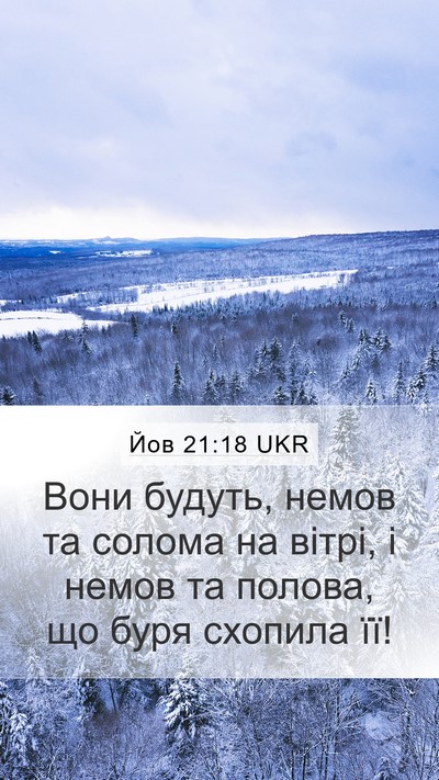 Йов 21:18 UKR Bible Verse Image